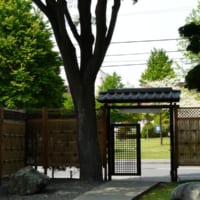 日本庭園風の中庭