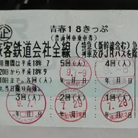 「乗り放題」はツライよ？！