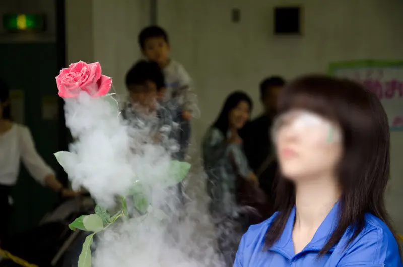 実験系のイベントで人気な液体窒素を使った「超低温の世界」