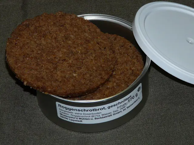 ドイツ軍糧食量セット×3 ミリヲタ的グルメ】第15食 ドイツ軍コンバットレーション