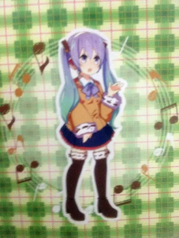 ちゃんと裏側にもミクがいます