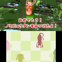 ノミビョウタン発見！