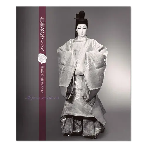 宝塚 千社札 男役 宝塚歌劇団 宙組 桜木みなとさん 千社札セット