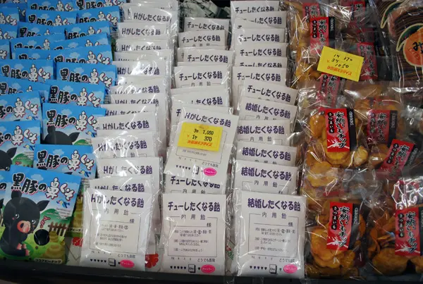 あのUMAは今？未確認生物「イッシー」の話題のその後を見に行った