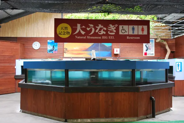 昭和レトロ 池田湖 イッシー　本皮キーホルダー　未確認生物（UMA）　恐竜 あのUMAは今？未確認生物「イッシー」の話題のその後を見に行っ