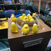 複製なしでかわいさにこだわったオオトリ様のご入浴