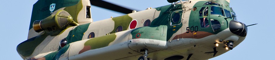 【宙にあこがれて】第44回 日本では見られない!?　航空ショウのアクロバット