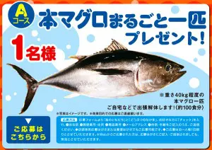 森永製菓『おっとっと』が本マグロまるごと一匹プレゼント！