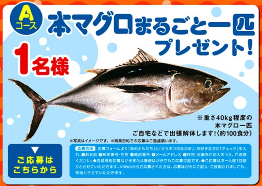 森永製菓『おっとっと』が本マグロまるごと一匹プレゼント！