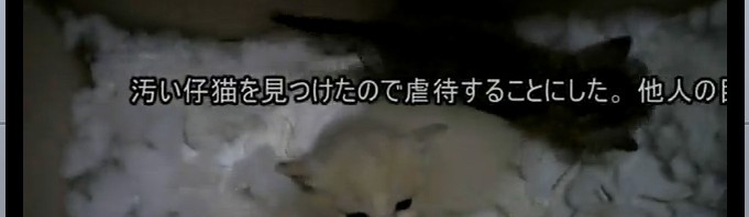 2ch有名コピペ「汚い猫を見つけたので虐待することにした」通りに仔猫を保護した動画が話題
