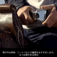 え？馬に飛行機のシートベルト？