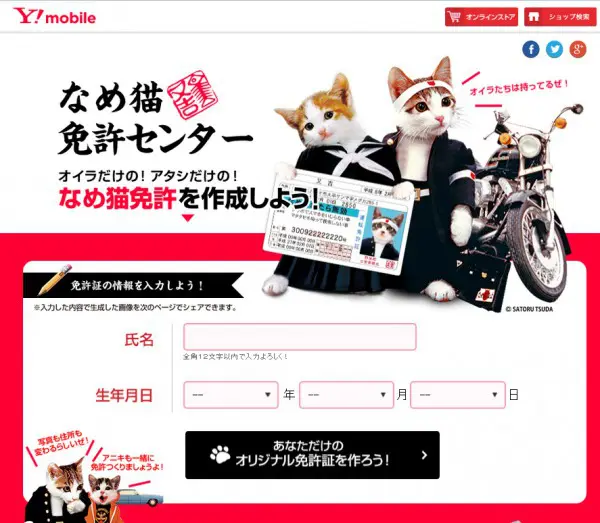 なめんなよ！の『なめ猫免許証』がジェネレーターで復活！ | おたくま経済新聞