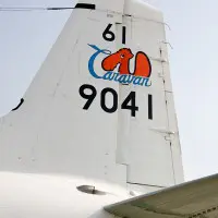 垂直尾翼のラクダマーク