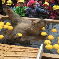 須坂市動物園（長野県）