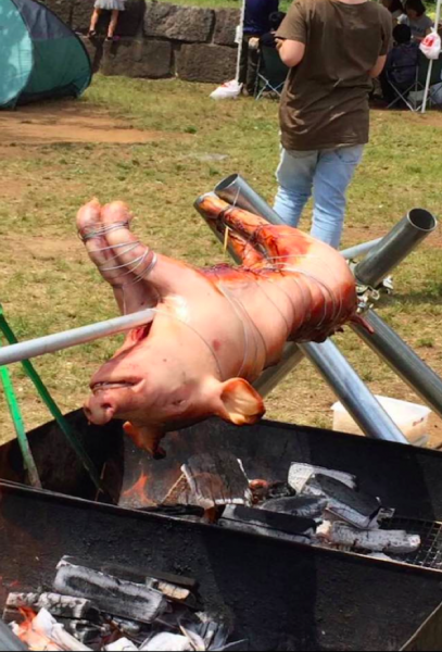 ワイルドBBQ -ここでしか食えない肉がある-