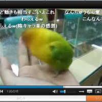 ｲﾝｺくん迫真のモノマネ