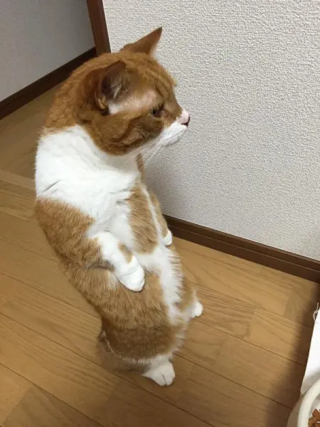 亜弥さんより02
