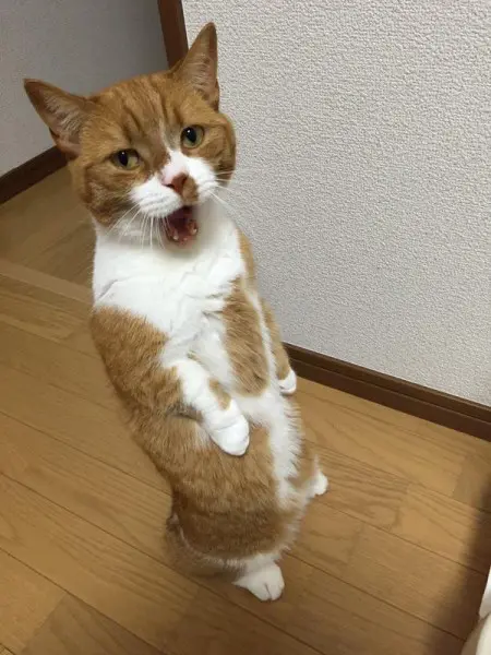 亜弥さんより03