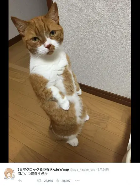 亜弥さんより01