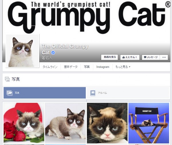 The Official Grumpy Cat Facebookページより。