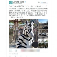 上野動物園公式Twitterより。