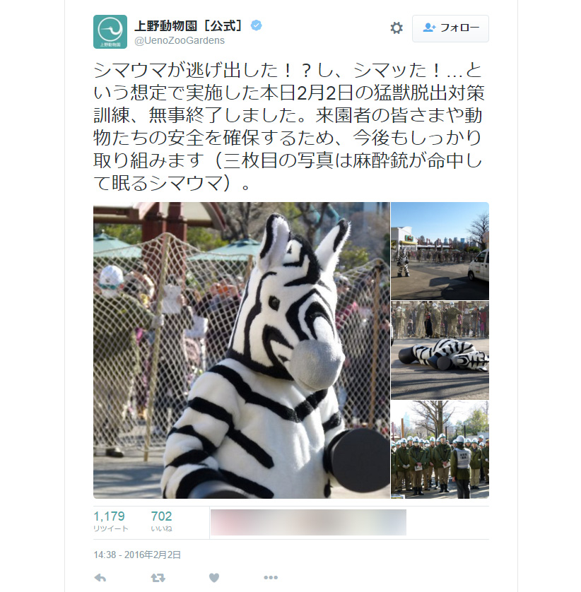 シマウマが逃げてシマッた！上野動物園の猛獣脱出対策訓練が話題