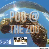 The National POO MuseumFacebookページより。