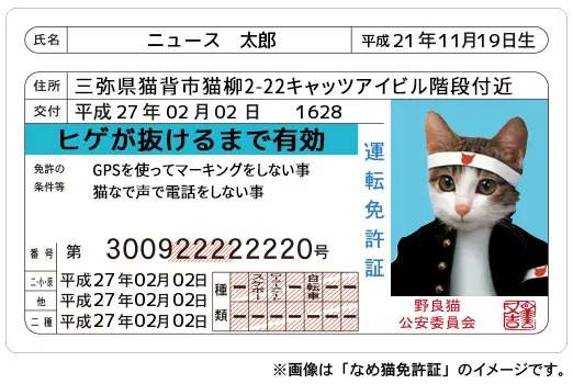 なめ猫免許証持ってた？「なめんなよ」初CD化で昔を懐かしむ人続々 | おたくま経済新聞