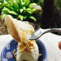 味はみたらし団子をもっと硬派にしたような感じ