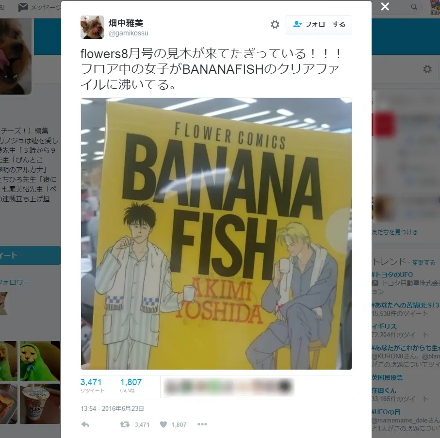 BANANA FISH』クリアファイルにファン沸き立つ 月刊flowers8月号付録 | おたくま経済新聞