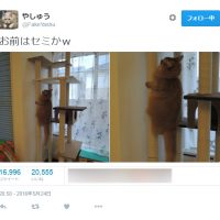 話題になったやしゅうさんのTwitter投稿