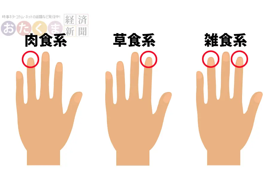 指の長さで草食系か肉食系かわかっちゃう！？ あなたはどのタイプ ...