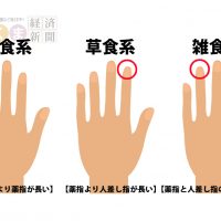 指の長さでわかる草食系、肉食系、雑食系