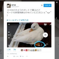 Twitterユーザー雪乃丞さんより。