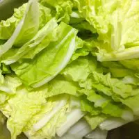 白菜をざく切りに