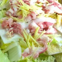 白菜、豚肉、ショウガの順で敷く