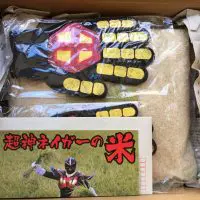 ネイガー便こと箱の中身