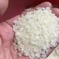 取り出したお米