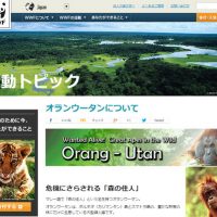 wwf公式サイトより。