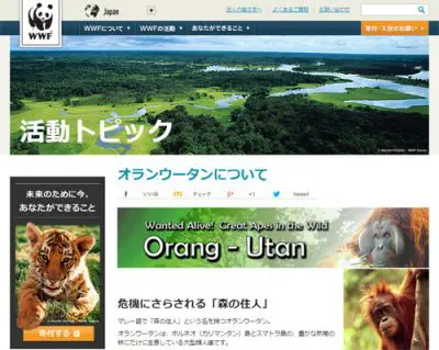 wwf公式サイトより。