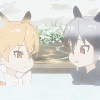 キタキツネとギンギツネ