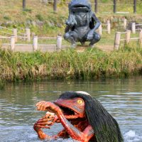 辻川山公園の池の中にいるガジロウ