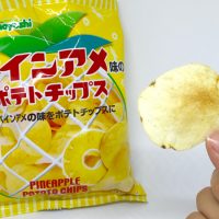 パインアメ味のポテトチップス02