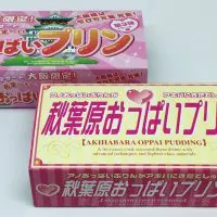 「秋葉原おっぱいプリン」と「大阪おっぱいプリン」