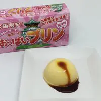 おっぱいプリンカラメルかけてみた