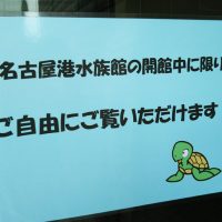 名古屋港カメ類繁殖研究施設3