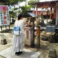 夫婦雛をお参り