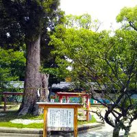 幸福一位の木