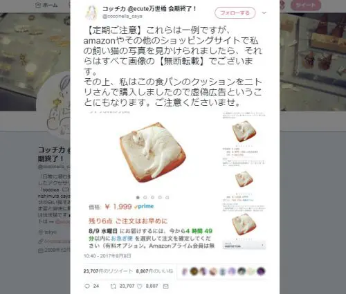 止まらない無断転載！悪質通販サイトとネット社会の闇 | おたくま経済新聞