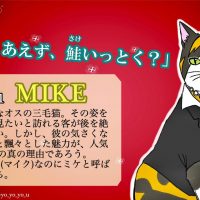 MIKE君（三毛猫）